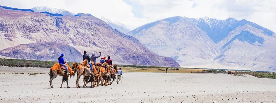 Nubra Valley Himalaya