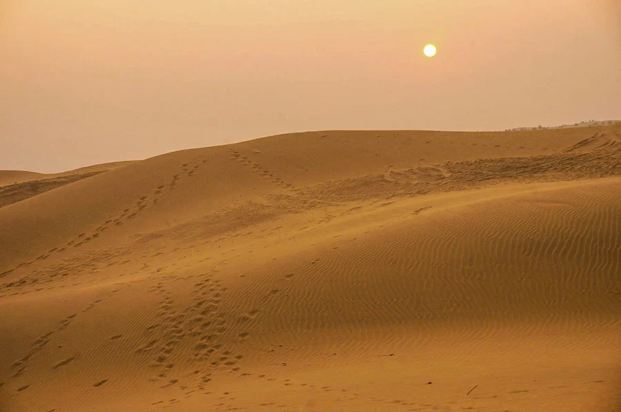 Sunset in Thar Desert