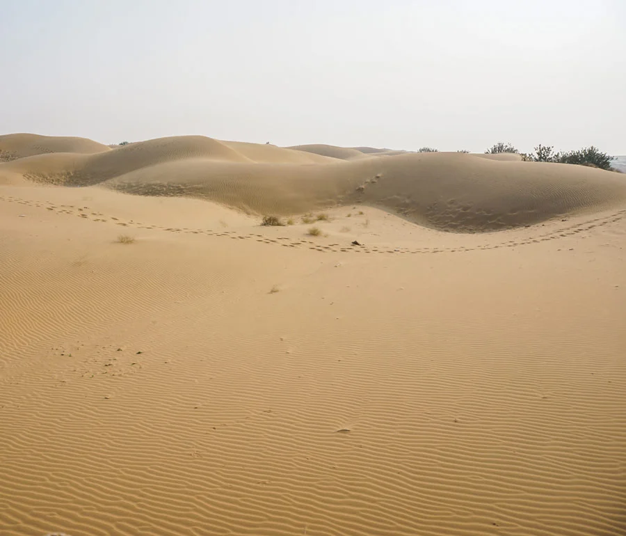 Thar Desert image of sand dunes