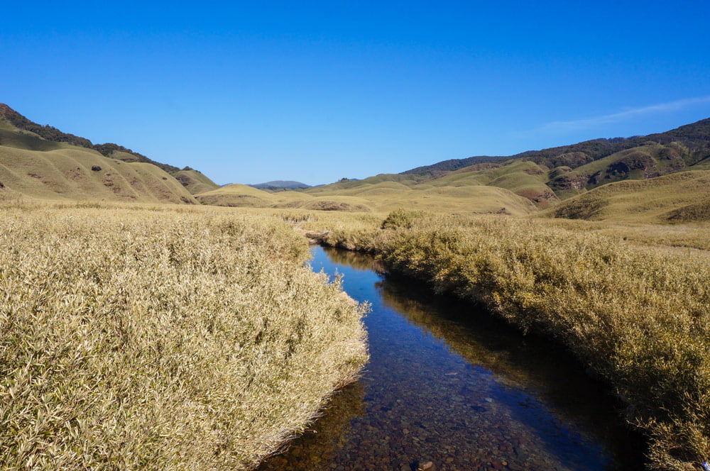 Dzukou Valley river