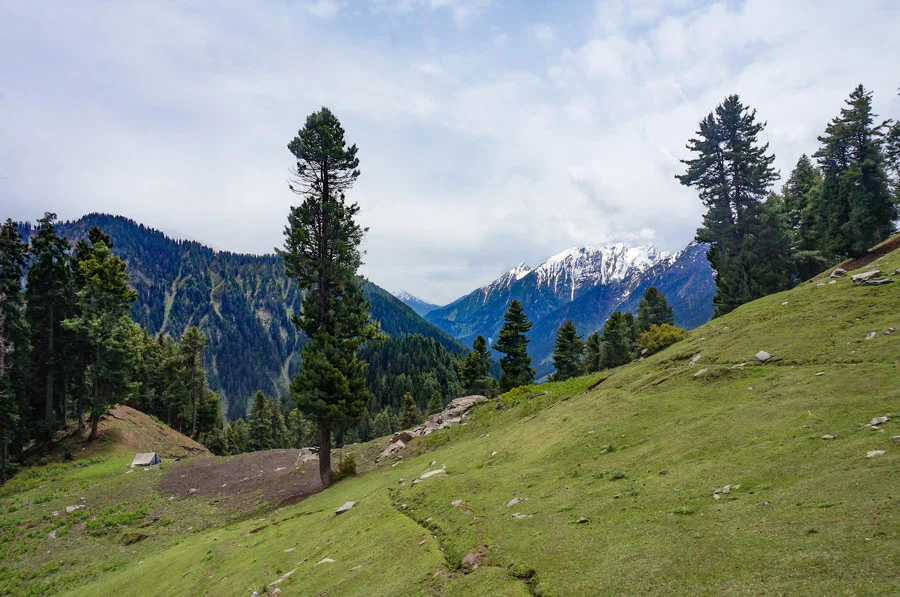 Aru Valley trek