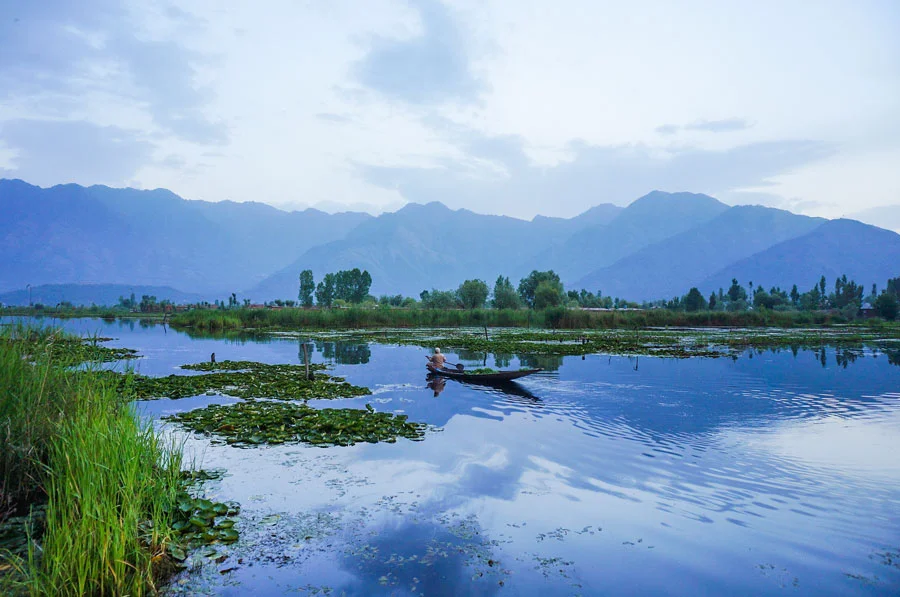 Dal Lake Vegetable seller