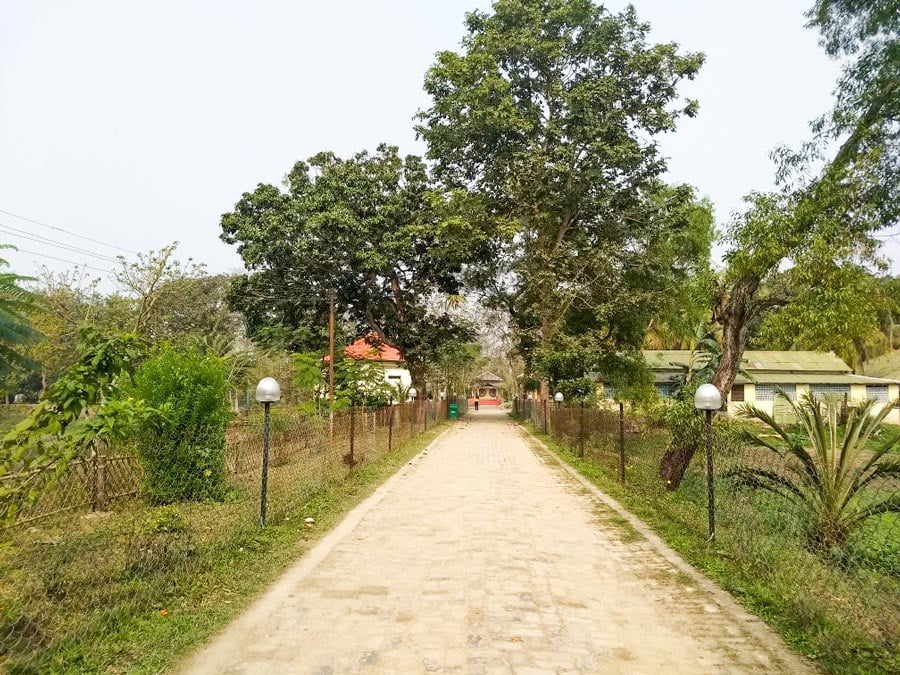 Roads Majuli